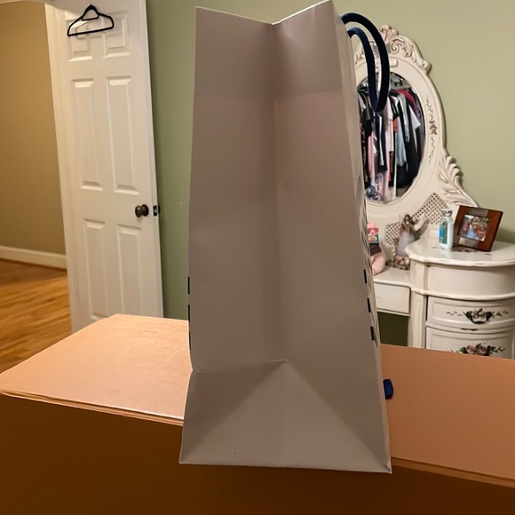 Authentic 13 1/4” x 15 3/4” Louis Vuitton Shopping Bag - Picture 6 of 9